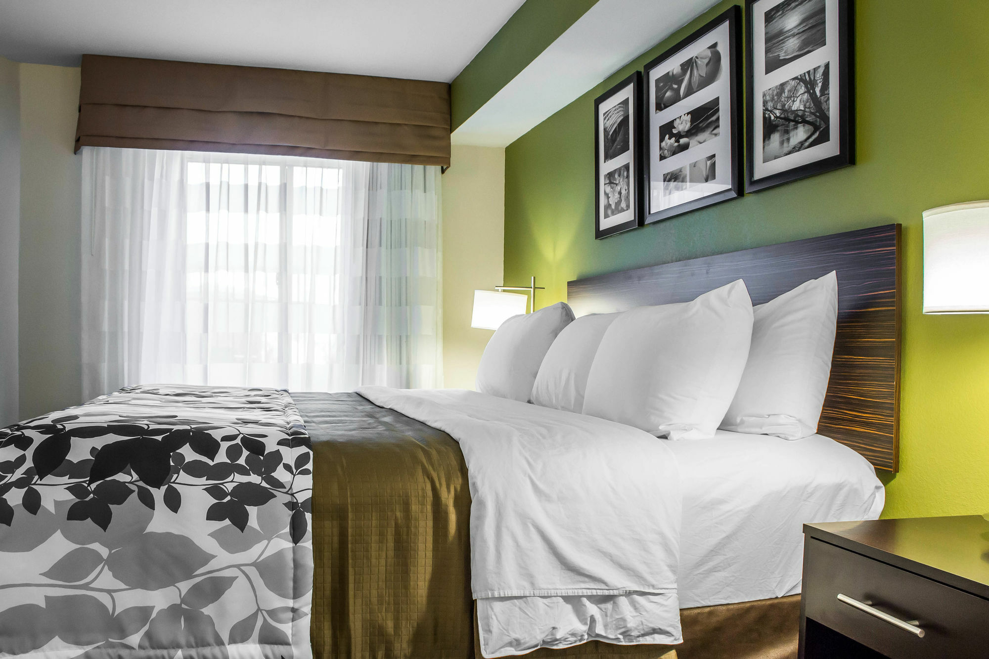 Surestay Plus By Best Western Mesa Superstition Springs Kültér fotó