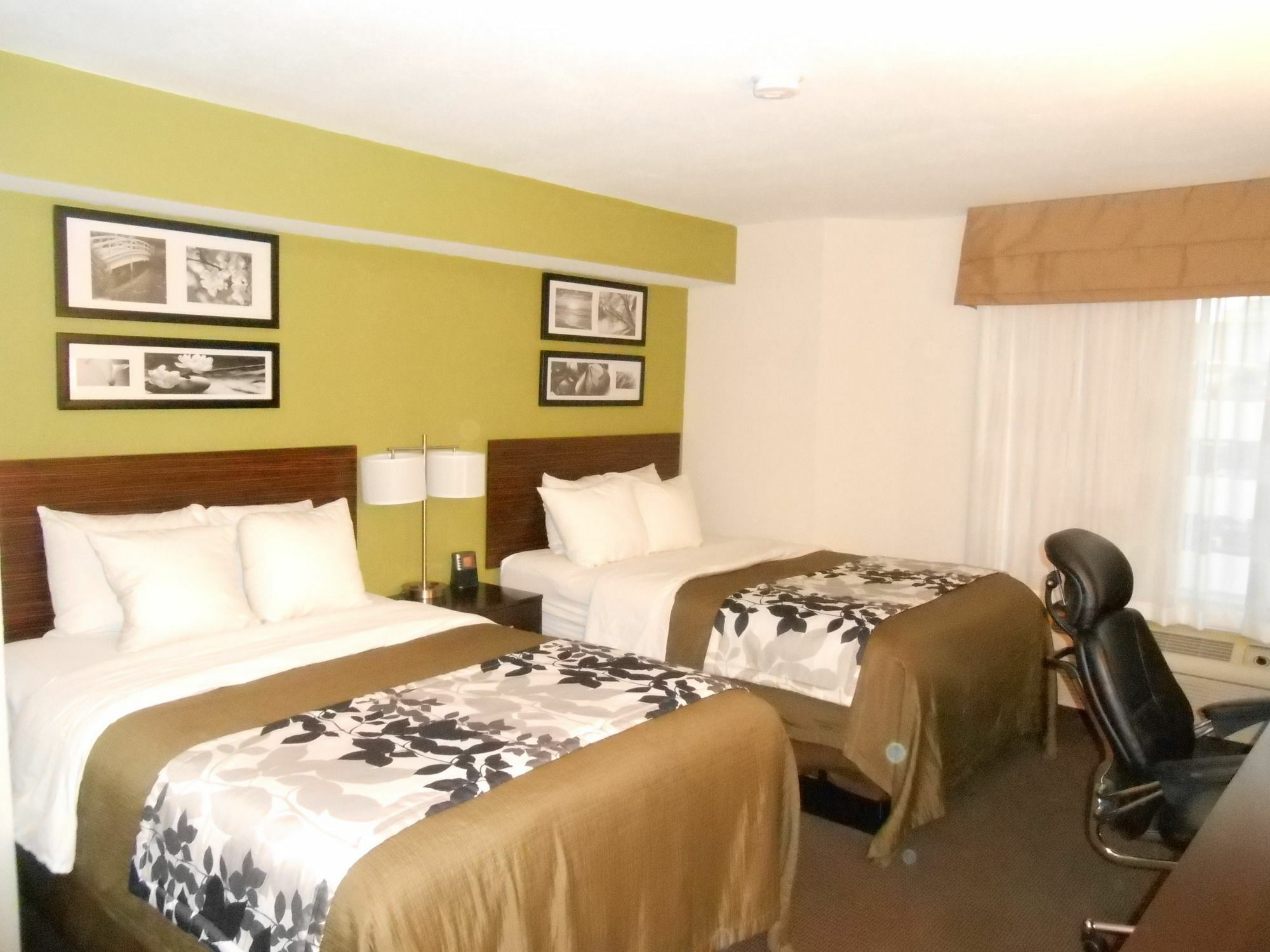 Surestay Plus By Best Western Mesa Superstition Springs Kültér fotó