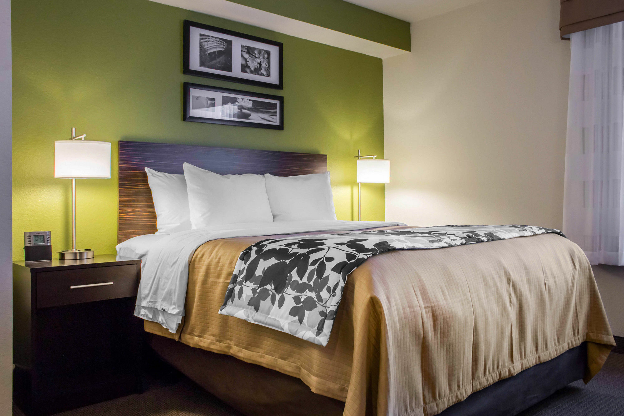 Surestay Plus By Best Western Mesa Superstition Springs Kültér fotó